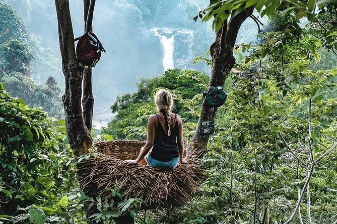 Full-Day in Bali: Private Design-Your-Own Tour - Who should book this private Bali tour?