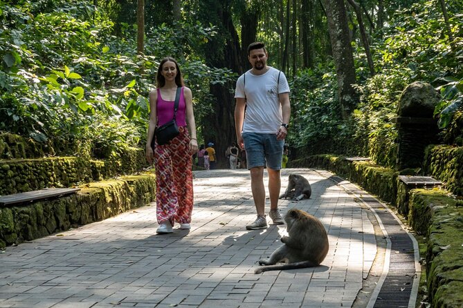 Full-Day Private Car Charter in Bali with Local Guide - Tegenungan Waterfall: a scenic stop with a chance to swim