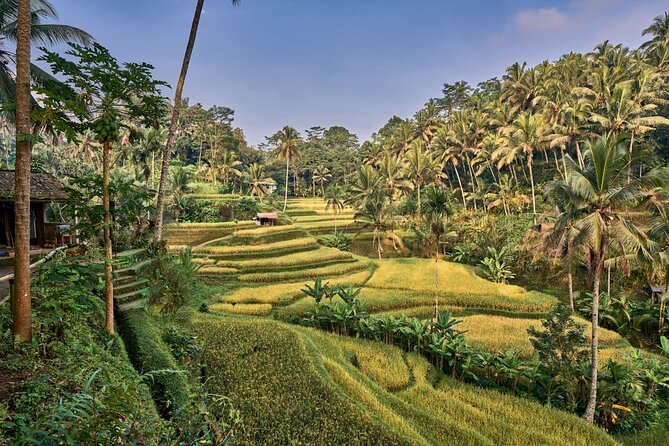Full Day Private Guided Tour to Bali - Start early, then let the day take shape
