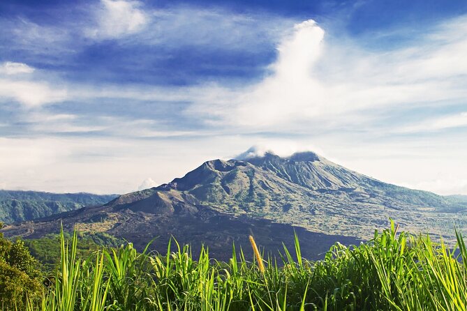Full Day Private Guided Tour to Bali - Tegalalang shows Bali’s working rice country