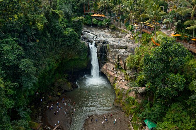Full Day Private Guided Tour to Bali - Monkey Forest adds temples and animals