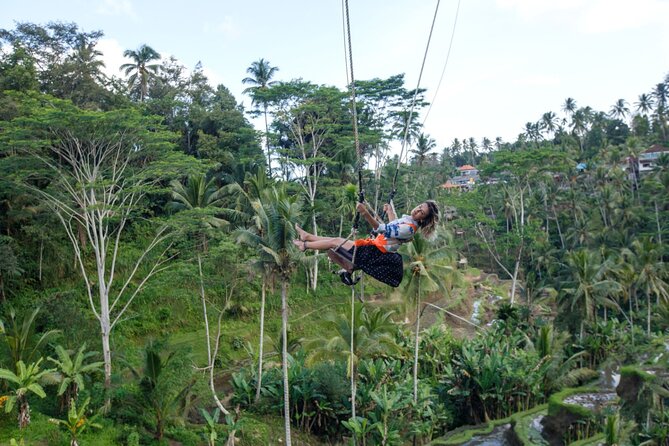 Full Day Private Guided Tour to Bali - Why the private format matters on this route