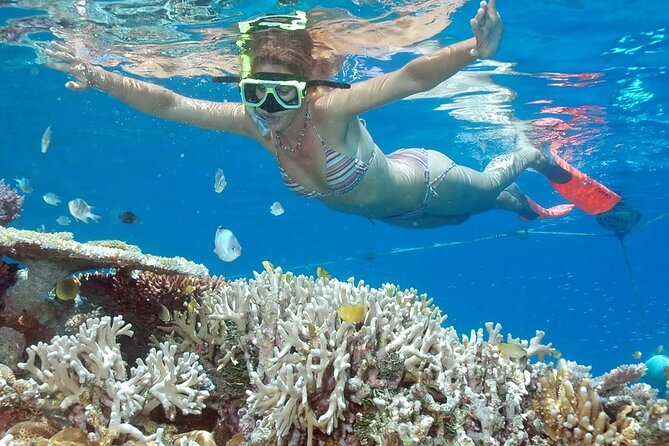 Full-Day Tour in Nusa Penida Island + Snorkeling Experience - Key points to know before booking