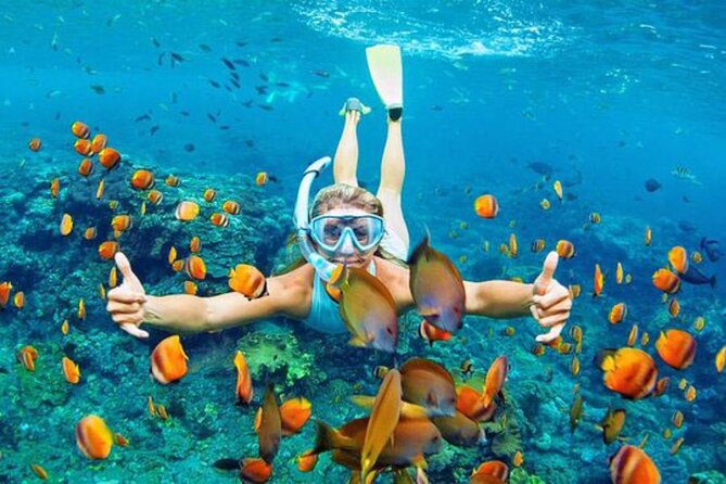 Full-Day Tour in Nusa Penida Island + Snorkeling Experience - Crystal Bay and Gamat Bay by shared boat