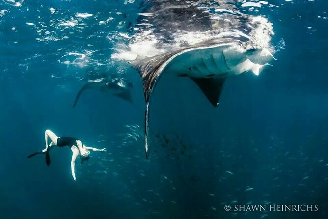 Full-Day Tour in Nusa Penida Island + Snorkeling Experience - What the private car really adds