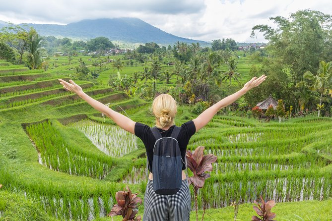 Full-Day Tour to Water Temples and UNESCO Rice Terraces in Bali - Who Will Enjoy This Tour Most
