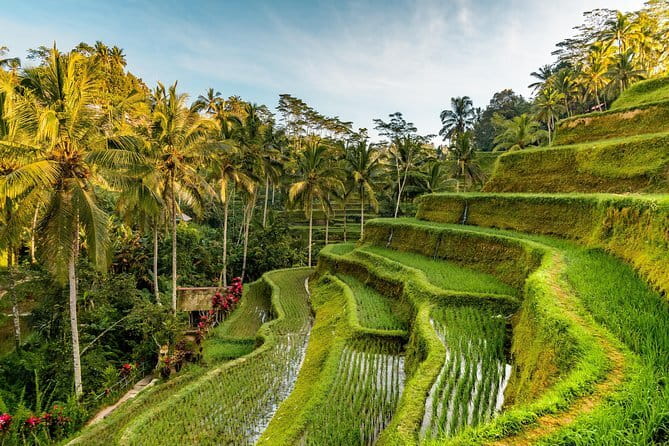 Full Day Tour to Water Temples UNESCO Rice Terraces in Bali - Handara Iconic Gate, useful for photos but lighter on culture