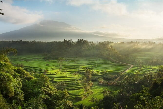 Full Day Tour to Water Temples UNESCO Rice Terraces in Bali - Jatiluwih: the biggest stop and the best use of your time