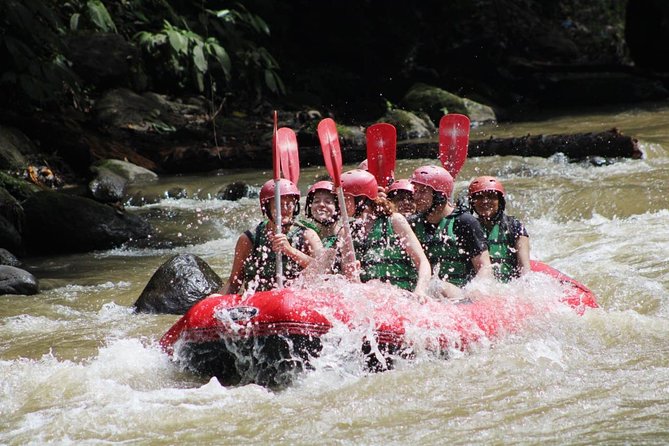 Full-Day Tour: White Water Rafting and Highlight of Ubud with All-inclusive - Starting at 8:30 am with private pickup