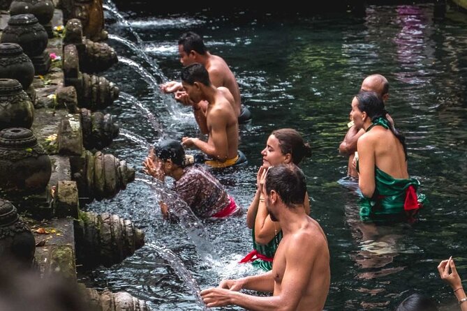 Full Day Ubud Custom Private Tour with Hotel Pickup - Walking among macaques at Sacred Monkey Forest
