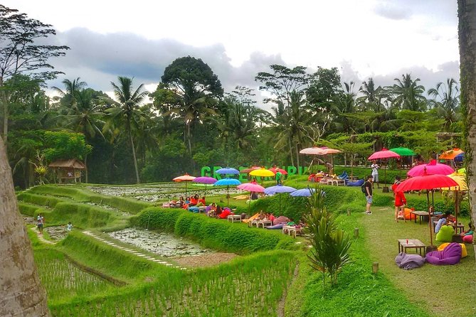 Half Day Cycling Tour ( Manual Bike ) - Finishing near Payangan and lunch at Greenkubu