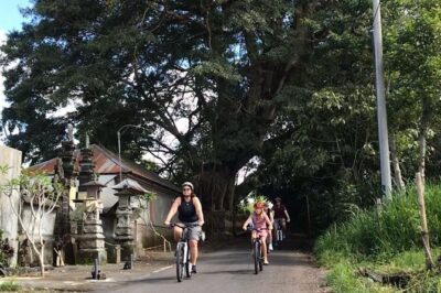 Half Day Cycling Tour ( Manual Bike )