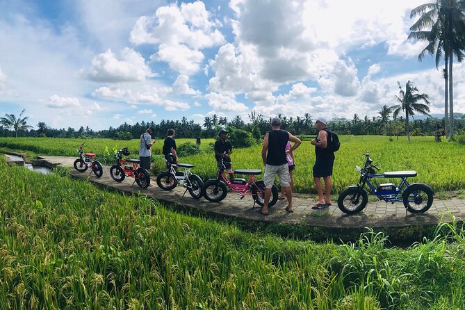 Half-Day Electric Fat Bike Tour of Ubud - Key points to know before you ride