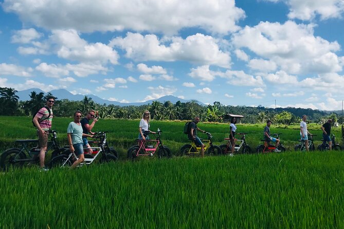 Half-Day Electric Fat Bike Tour of Ubud - Why an electric bike works well around Ubud