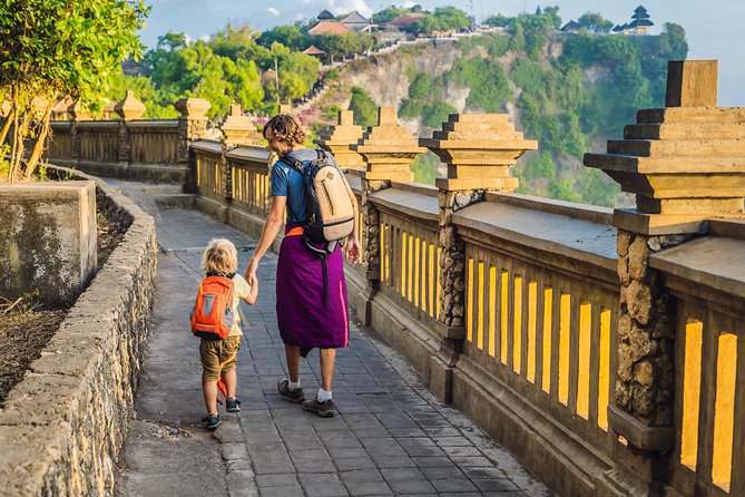 Half-Day Electric Fat Bike Tour of Ubud - Tegalalang Rice Terraces and the photo stops