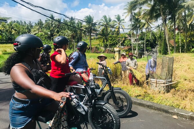 Half-Day Electric Fat Bike Tour of Ubud - Lunch on the terrace after the ride