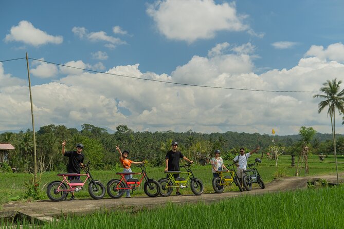 Half-Day Electric Fat Bike Tour of Ubud - Starting on Jalan Bisma at 8 a.m.