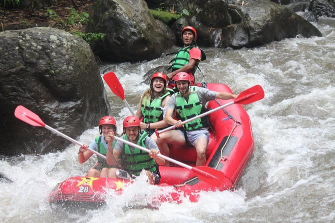 Half day forest & volcano tour with electric or petrol dirtbikes - Bamboo forest riding