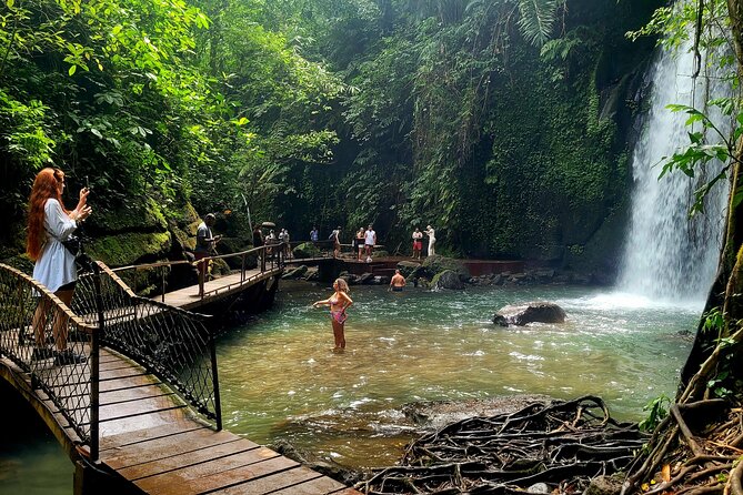 Half Day Tour Ubud Rice Terrace with Activities and Waterfall - Key points to know before booking
