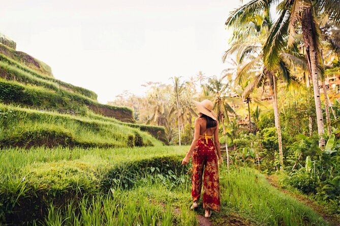 Half Day Tour Ubud Rice Terrace with Activities and Waterfall - Starting at Pepito Market Tebongkang