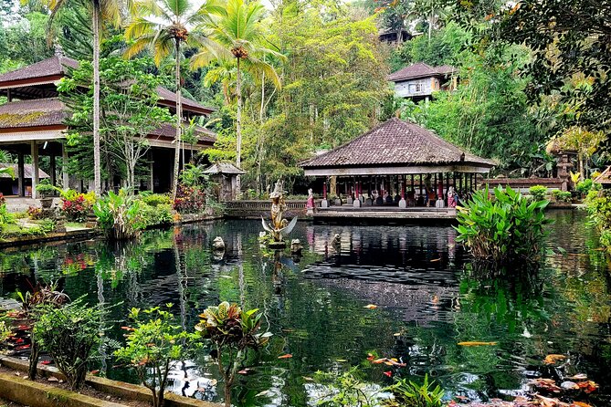 Half Day Tour Ubud Rice Terrace with Activities and Waterfall - Cooling off at Ulu Petanu Waterfall