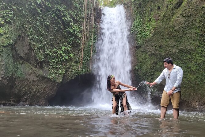 Half Day Tour Ubud Rice Terrace with Activities and Waterfall - What the $17.66 price really covers