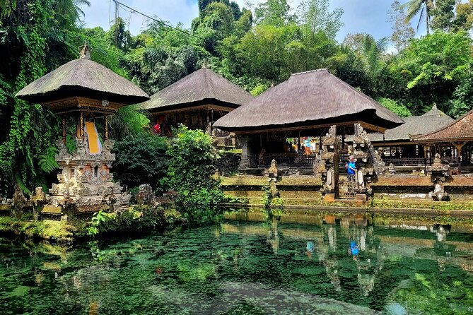 Half Day Tour Ubud Rice Terrace with Activities and Waterfall - Who will enjoy this half-day tour