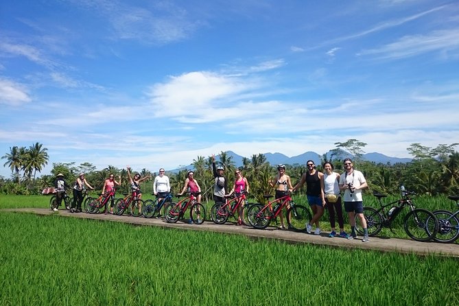 Half-Day Ubud Electric Cycling Tour to Tirta Empul Water Temple - Why this Ubud bike ride works so well