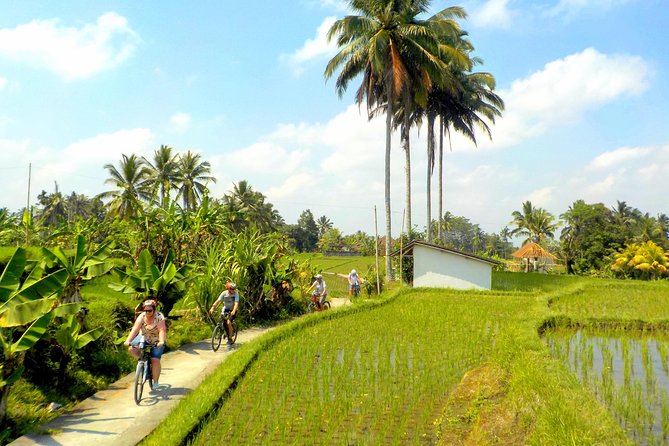 Half-Day Ubud Electric Cycling Tour to Tirta Empul Water Temple - Tirta Empul and the sacred spring ritual