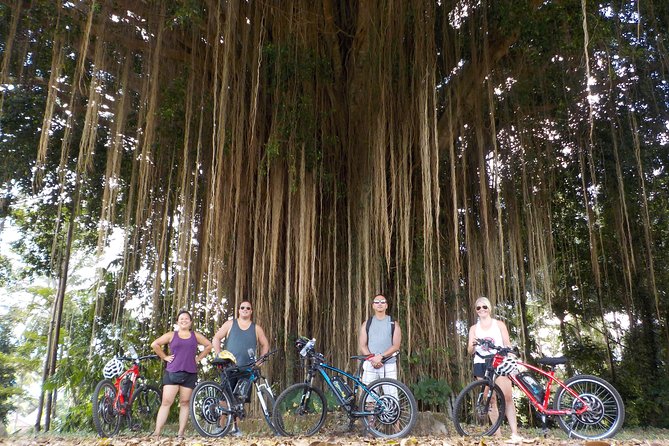 Half-Day Ubud Electric Cycling Tour to Tirta Empul Water Temple - How demanding is the electric cycling?