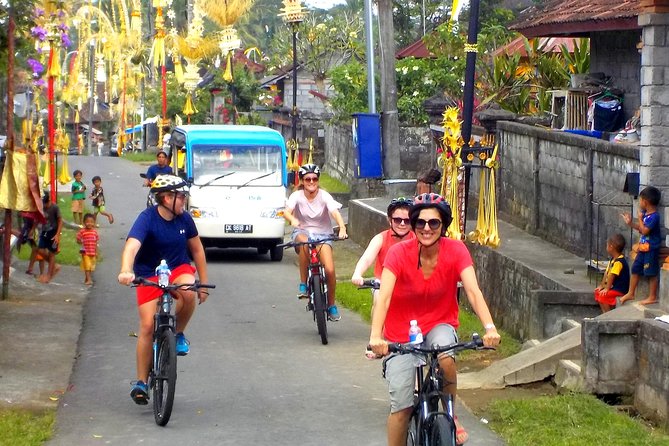 Half-Day Ubud Electric Cycling Tour to Tirta Empul Water Temple - What the $49 price includes