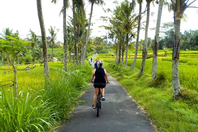 Half-Day Ubud Electric Cycling Tour to Tirta Empul Water Temple - Pedaling through rice paddies and village life