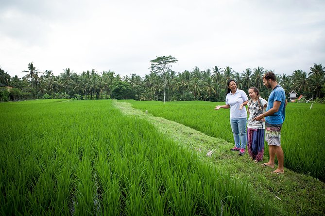 Half-Day Ubud Heritage Food Tour - Starting at Ubud Palace for a Balinese breakfast