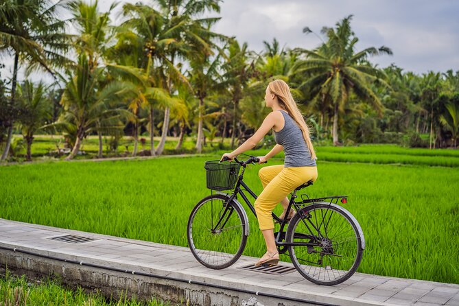 Half-Day Ubud Rice Field and Village Cycling Tour - Key points to know before booking
