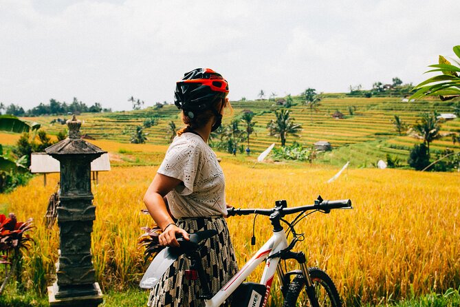 Half-Day Ubud Rice Field and Village Cycling Tour - Why this ride is a smart way to see Bali