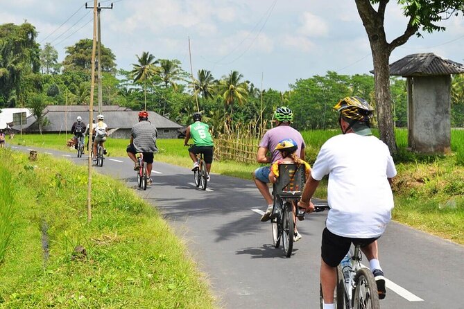 Half-Day Ubud Rice Field and Village Cycling Tour - Rice terraces where the route gets more demanding