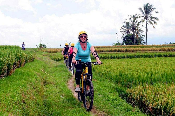 Half-Day Ubud Rice Field and Village Cycling Tour - Villages, temples, and the everyday side of Bali