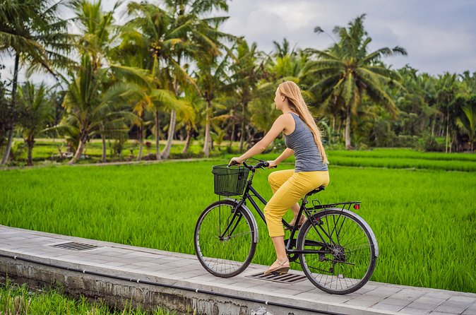 Half-Day Ubud Rice Field and Village Cycling Tour - Coffee, plantations, and a quieter stop