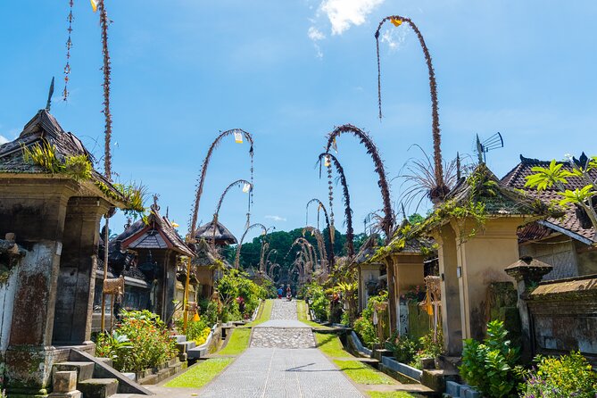 Half-Day Ubud Rice Field and Village Cycling Tour - Meeting the guides