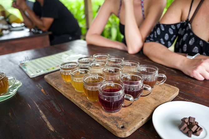 Half-Day Ubud Rice Field and Village Cycling Tour - Equipment, transport, and the lunch break
