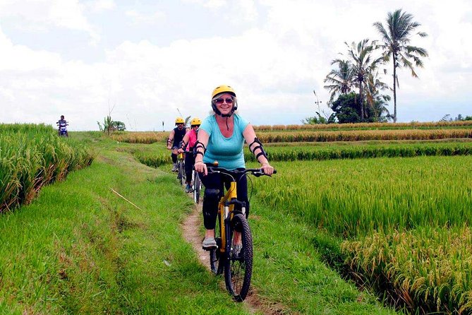 Half-Day Ubud Rice Field and Village Cycling Tour - Is $41.03 a good value?