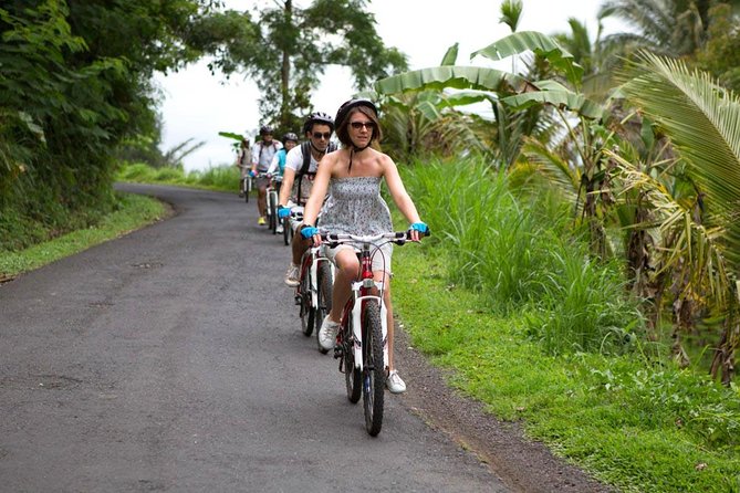 Half-Day Ubud Rice Field and Village Cycling Tour - Starting near Mount Batur