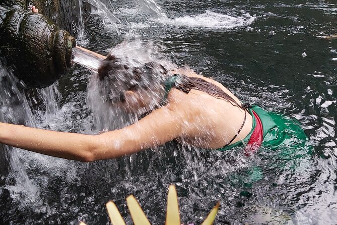 Half Day Ubud Tour - Private Guided Tour - Tegenungan Waterfall: a quick nature stop