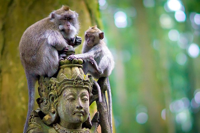 Half Day Ubud Tour: Ubud Unique Spots - The guide can make the difference