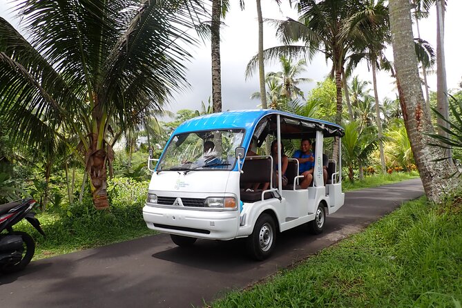 Half Day Ubud Waterfall Tour - Key points to know before you book
