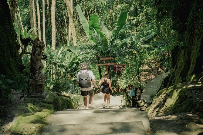 Half Day Ubud Waterfall Tour - Taman Sari’s waterfall and natural pool