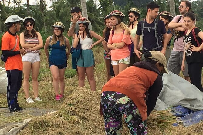 HALO BIKE Downhill Bali Countryside Cycling Tour - What the downhill route really offers