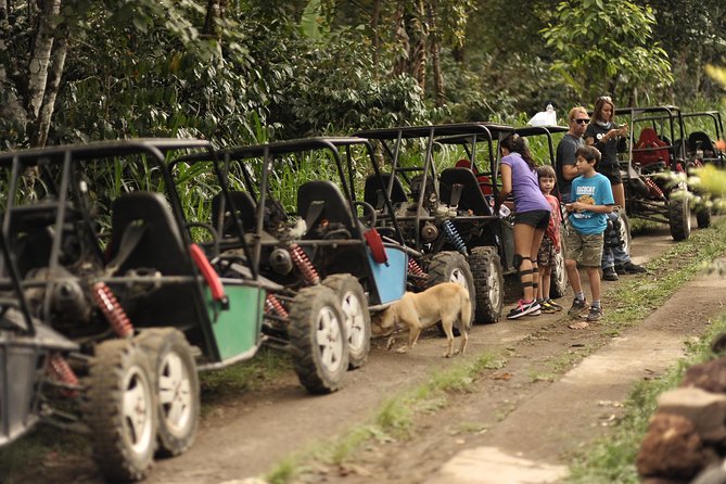 Haunted Valley Waterfall ATV and Bike Tour - The bike section through plantations and rice fields