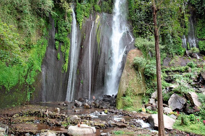 Haunted Valley Waterfall ATV and Bike Tour - How to make the day run better