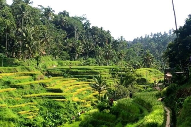 Heaven Gate, Tirtagangga and Tukad Cepung Waterfall - All Inclusive - Who should book this tour?
